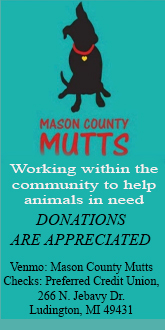 Mason County Mutts